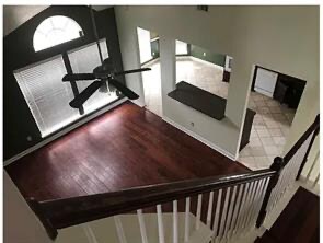 Building Photo - 3600 White Birch Way