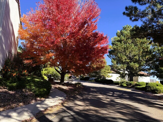 Building Photo - 7522 Madrid ct