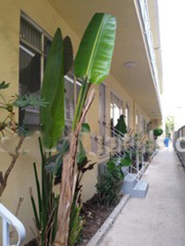 Building Photo - 913 6th St