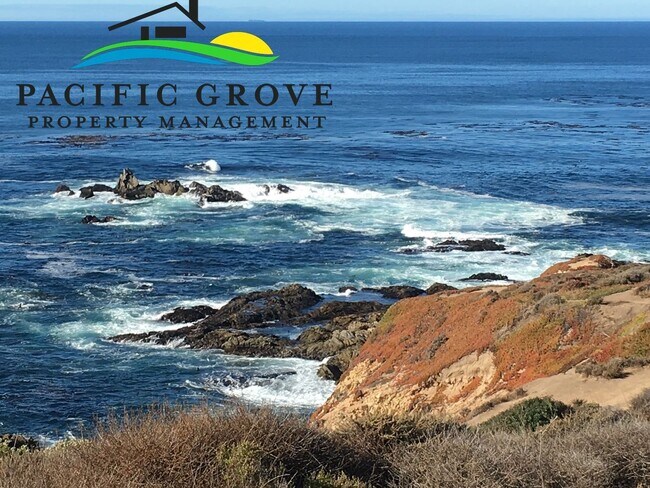 Building Photo - Cabin on Palo Colorado