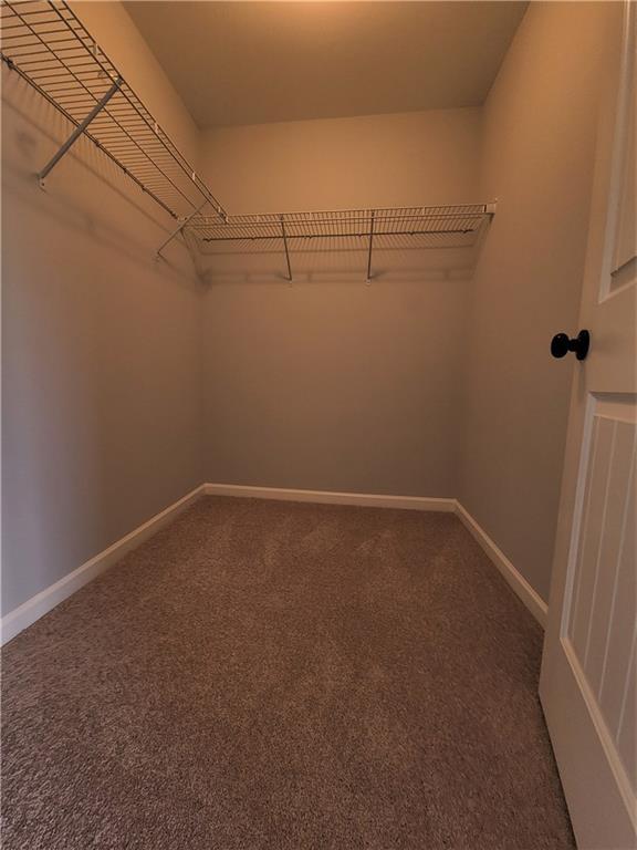 Building Photo - 3218 Leyden Ct