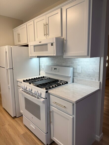 Fully Remodeled Kitchen - 9400 Old Cedar Ave S