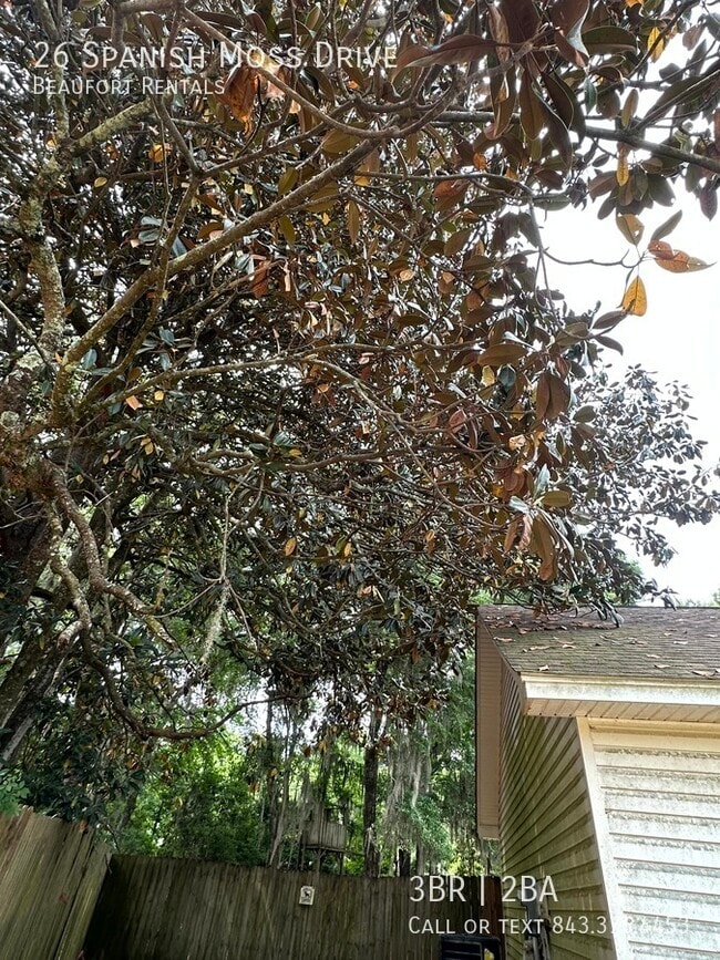 Building Photo - 26 Spanish Moss Dr