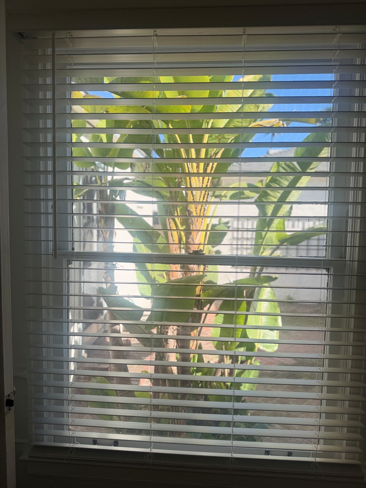 Breakfast Room - 3645 Monon St