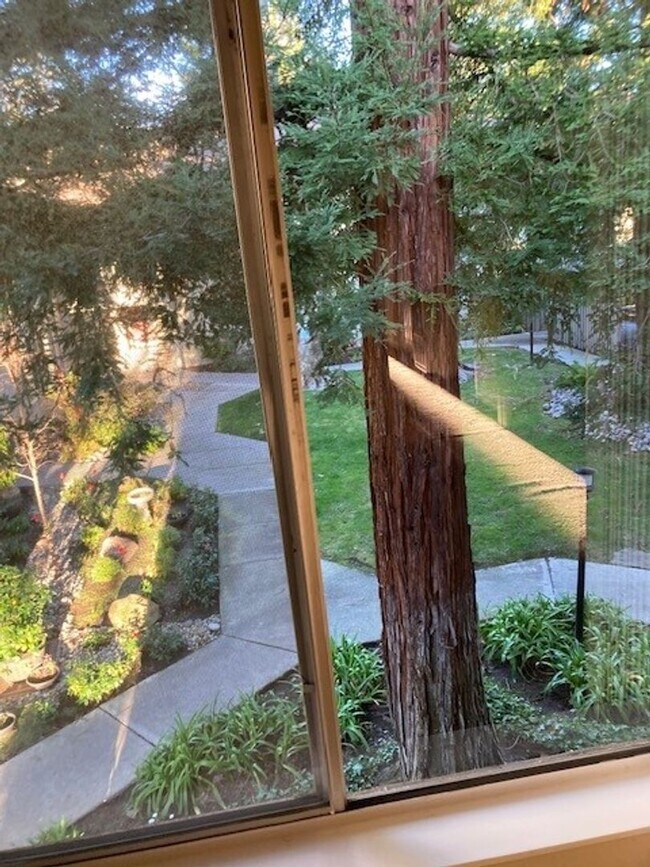 Building Photo - 1 bedroom upstairs unit in Walnut Park