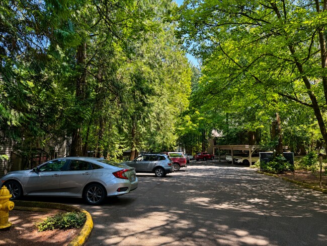 Building Photo - Modern Wooded Condo with Upgraded Kitchen & Private Deck