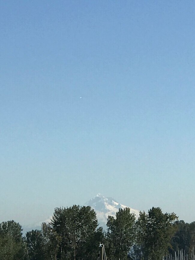 Building Photo - Beautiful Hayden Bay Condo with Mount Hood, River and Marina Views!