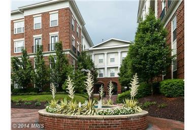 Image showcasing SUN FILLED LUXURY CONDO IN THE KENTLANDS - 27 Booth St Gaithersburg MD ...