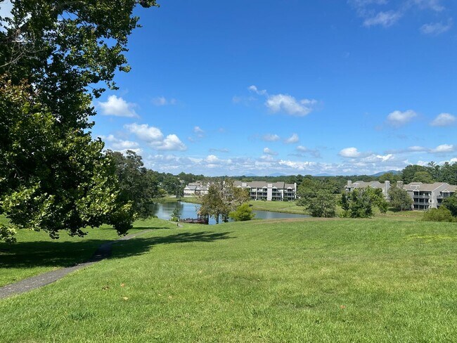 Building Photo - 1312 Twin Springs Ct