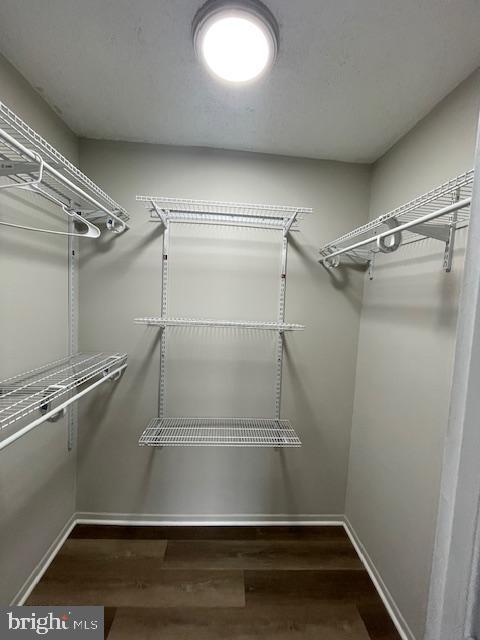 Building Photo - 3705 S George Mason Dr