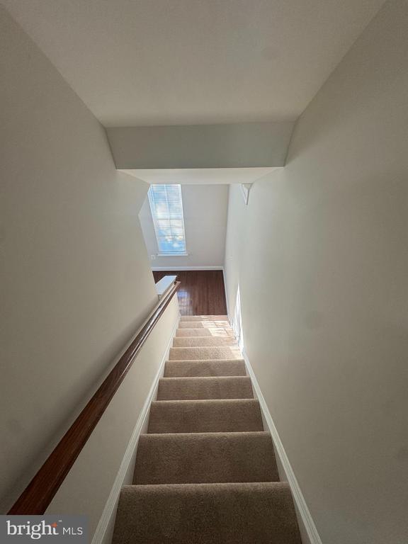Building Photo - 4424 Potomac Highlands Cir