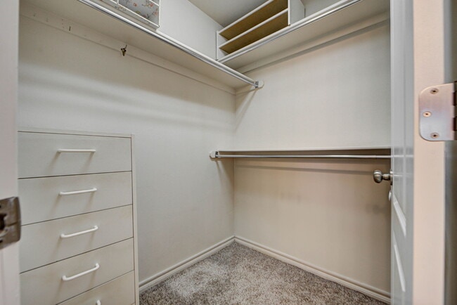 Building Photo - 4716 Stag Horn Dr