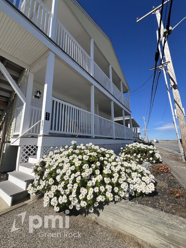 Building Photo - Ocean Front Furnished Condo