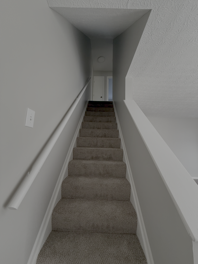 Bright and clean carpeted staircase leading to spacious upper-level bedrooms - 7778 Willowcove Ct