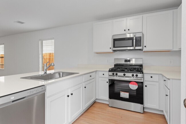 Building Photo - 1525 San Sebastien Dr