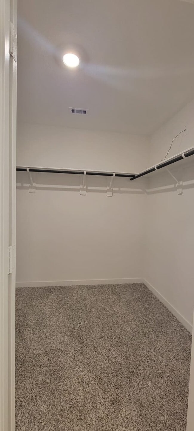 Building Photo - 3566 Blue Mockingbird St