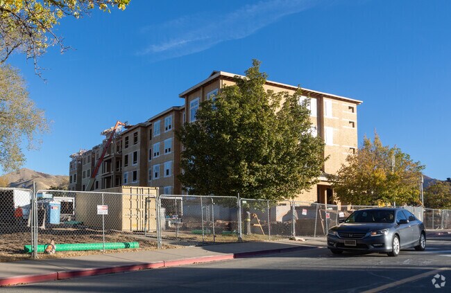 Primary Photo - Ivory University House