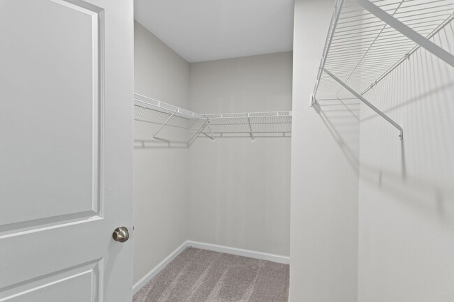 Building Photo - Beautiful 4/2 home with NEW fenced yard