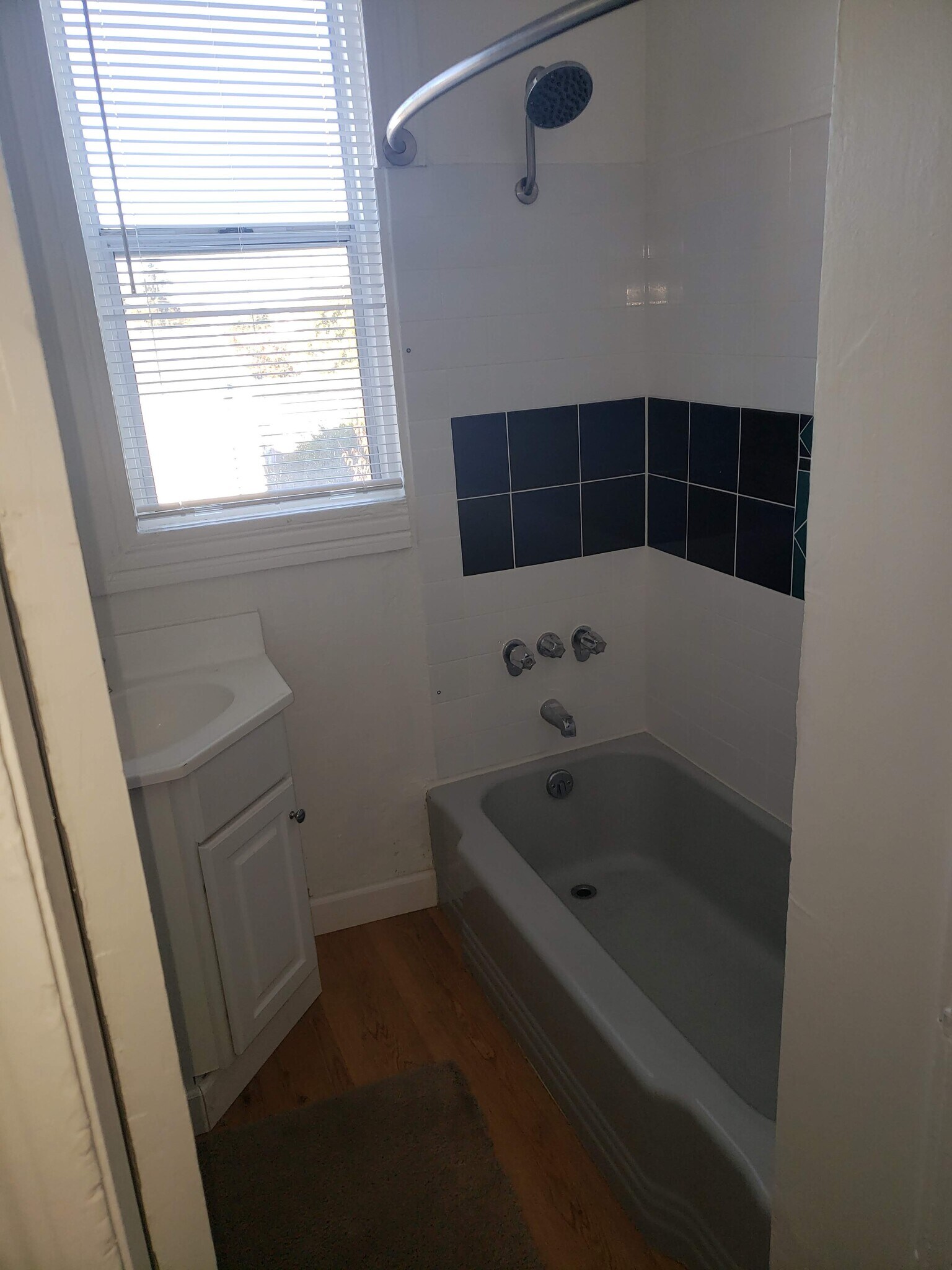 Sink / Shower Room - 1245 Allston Way
