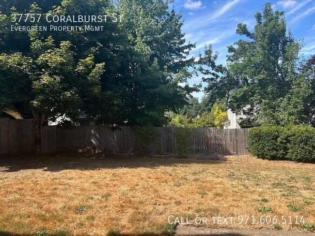 Building Photo - 37757 Coralburst St