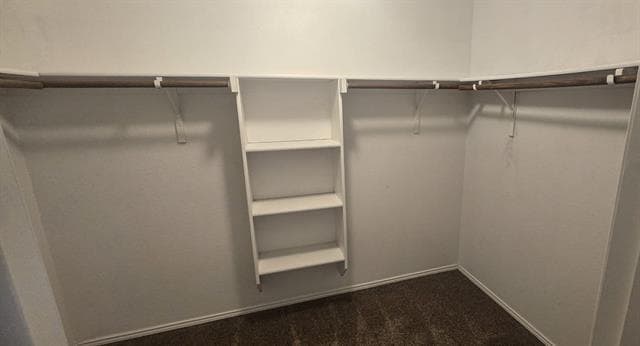 Building Photo - 1209 Nocona Dr