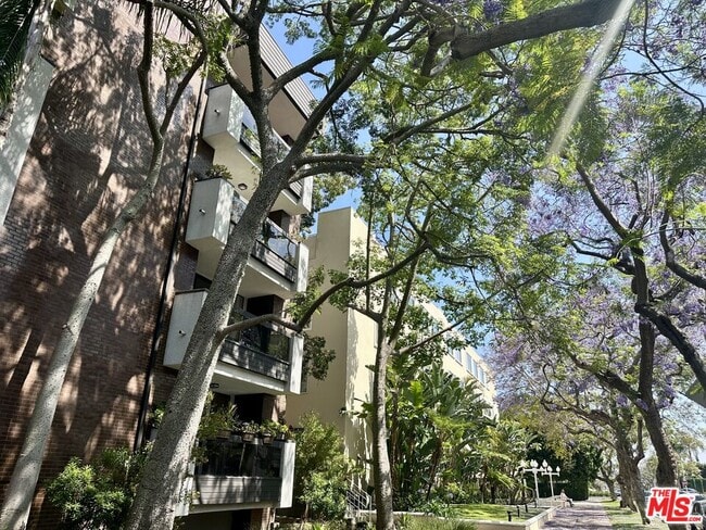 Building Photo - 324 N Palm Dr