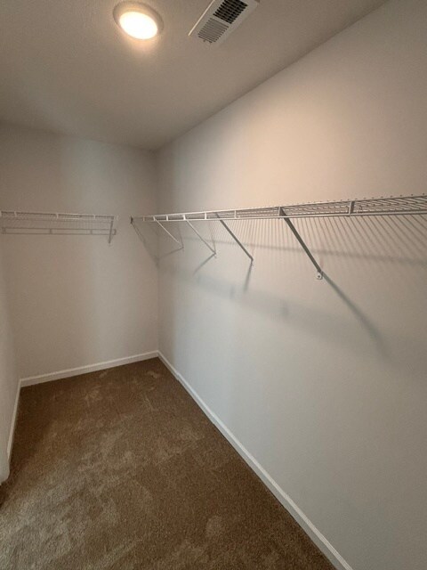 Building Photo - 3243 Truitt Path Ln