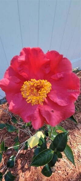 Building Photo - 416 W Howry Ave