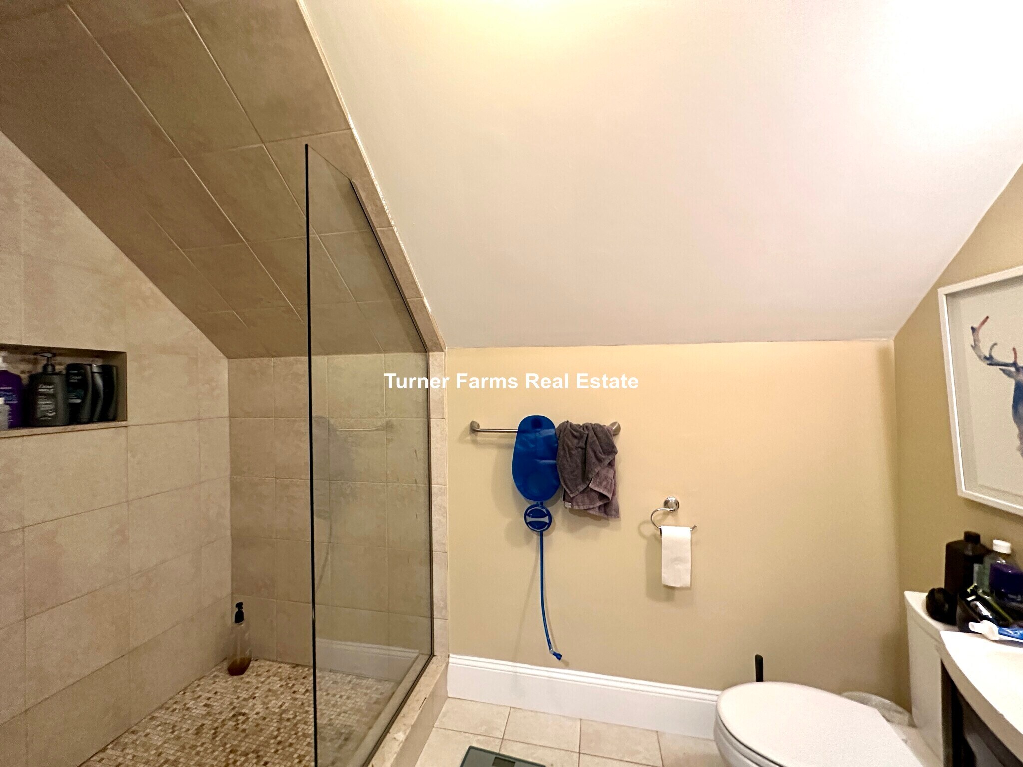 Building Photo - 44 Hillside St