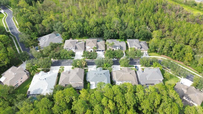 Building Photo - Beautifully Renovated Home in Tampa Palms ...
