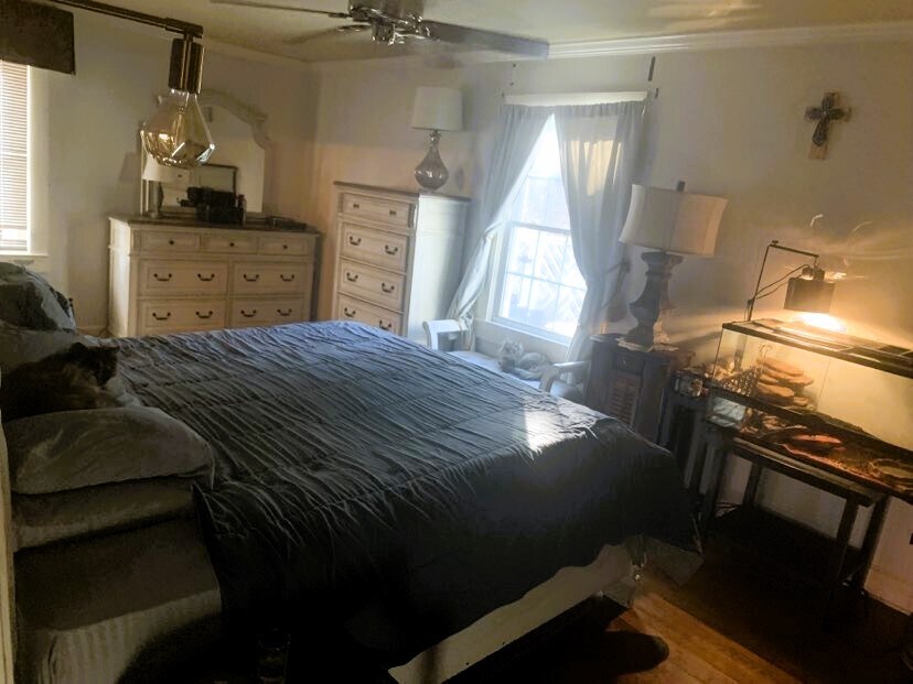 Building Photo - 49 Duke St