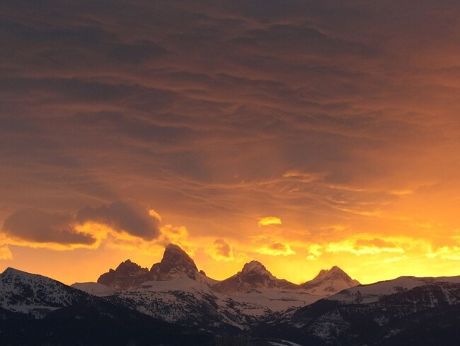 Building Photo - Modern 3-Bedroom Townhome in the Heart of ...