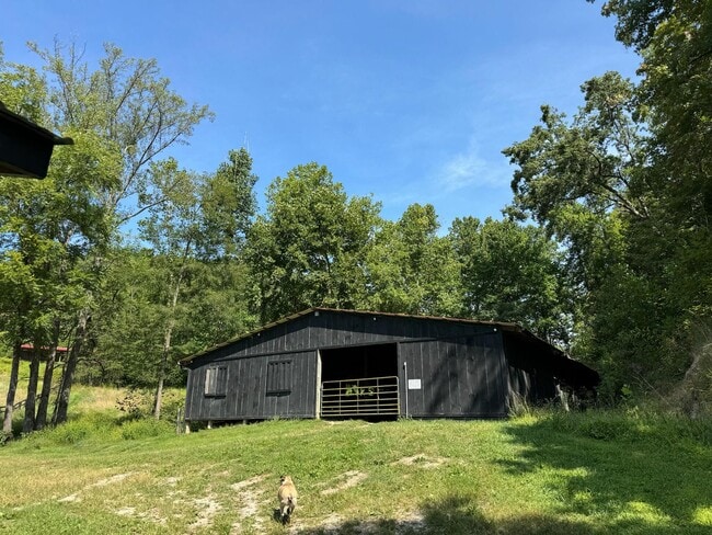 Building Photo - 1680 Lower Hatcher Creek Rd