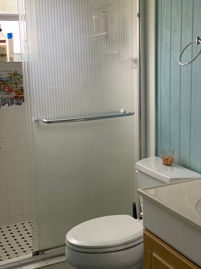 Second Bath room - 160 Stanford Dr