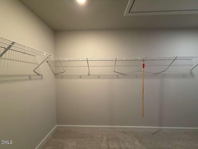 Building Photo - 6005 Grey Colt Wy