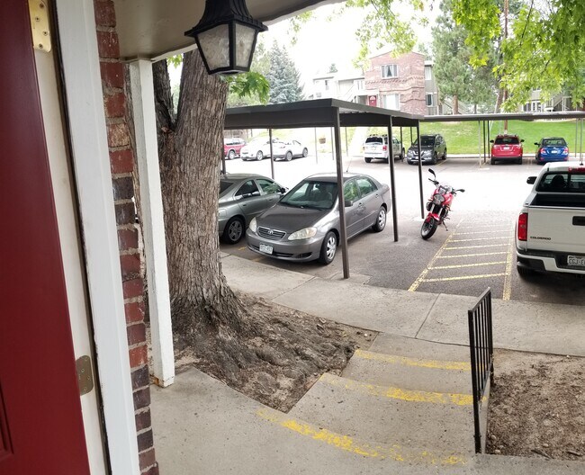 Looking Out - 857 S Van Gordon Ct