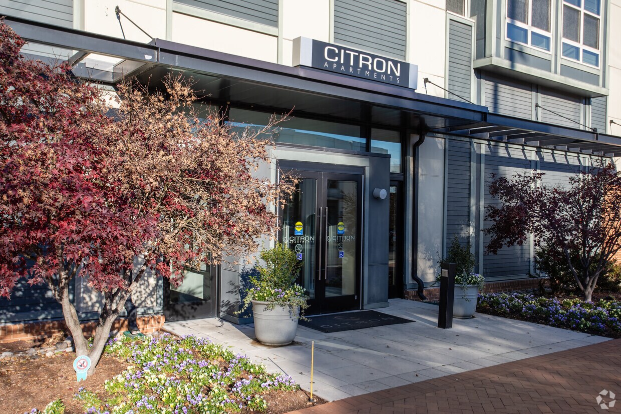 The Citron Apartments Silver Spring