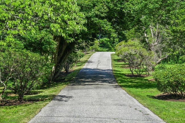 Drive way - 50 Orchard Rd