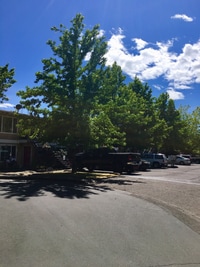 Building Photo - 1430-1460-1460 NW Division St