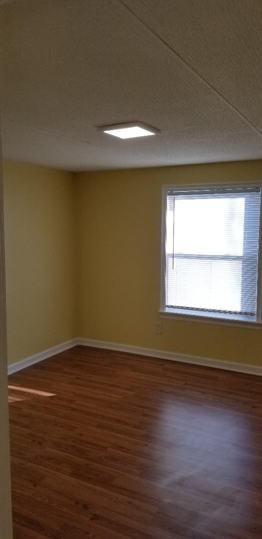 Building Photo - BIG AND ROOMIE! BIG AND ROOMIE!