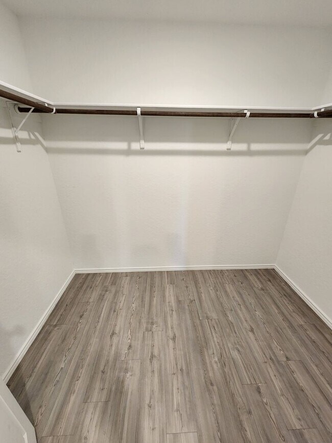 Building Photo - PALOMA Subdvison/ Converse Area