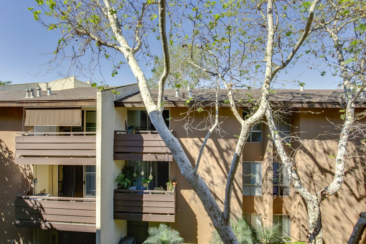 Building Photo - 1621 Hotel Cir S