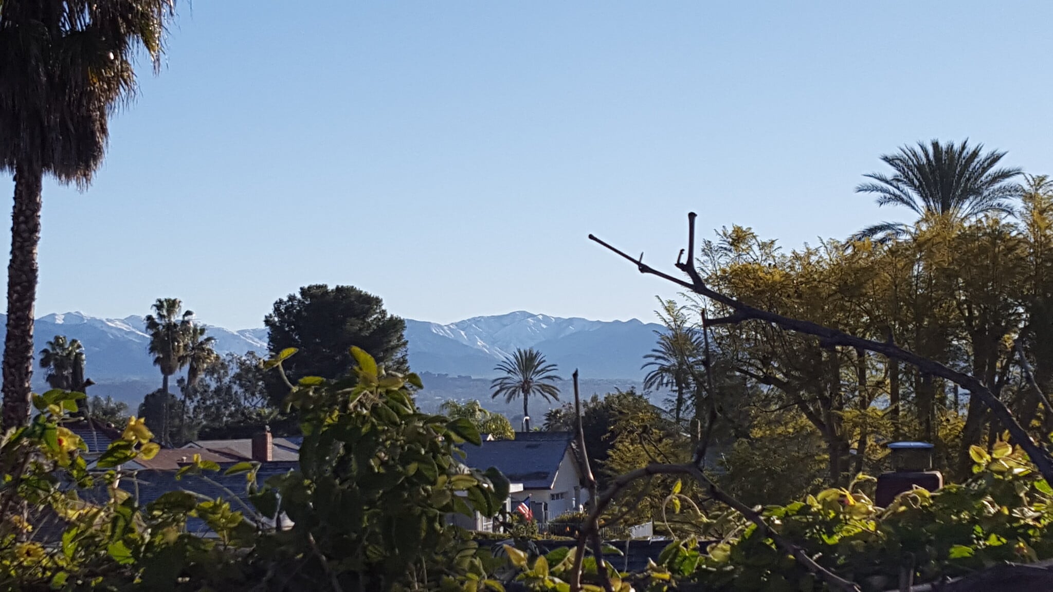 View from the backyard - 23662 Verona