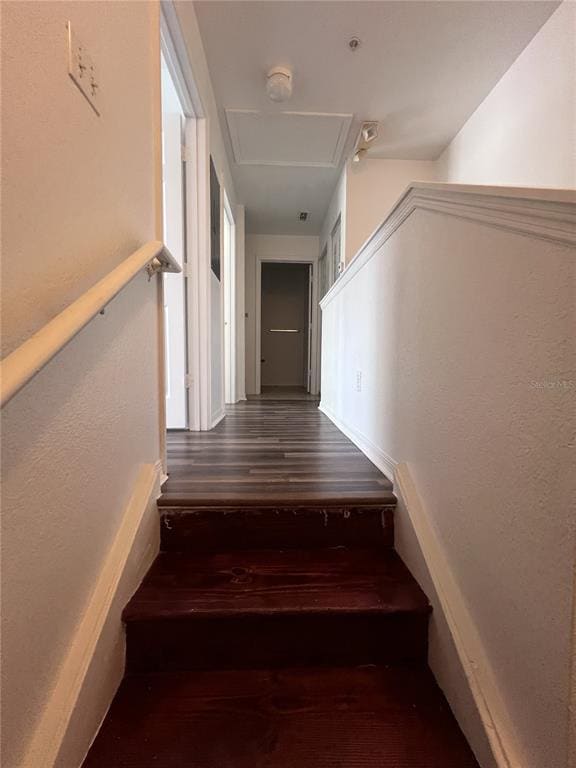 Building Photo - 4009 Venetian Bay Dr
