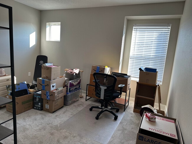 Bedroom 2 - 4302 Spruce Creek Dr