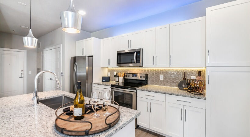 Modern Cabinetry with Designer Hardware and Title Backsplash - Cortland Reunion