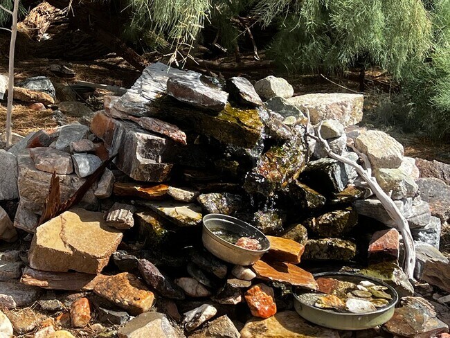 Building Photo - For Rent – Private Desert Retreat in Wonder Valley