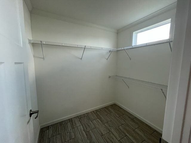 Building Photo - 385 Jose Gaspar Dr