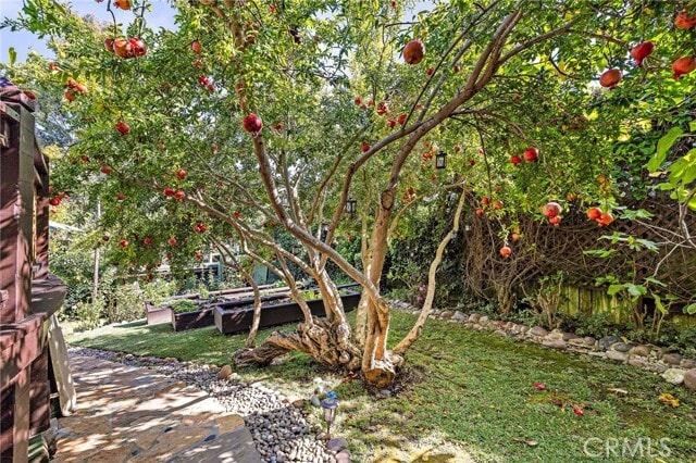 Building Photo - 773 St Ann's Dr