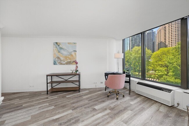 Building Photo - 505 N Lake Shore Dr